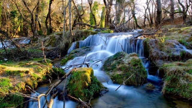 Ifrane