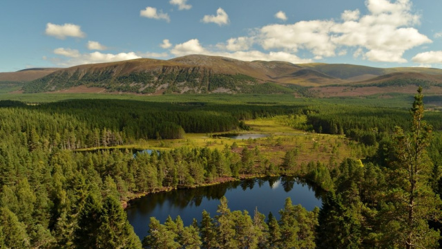 Parque Nacional Cairngorms