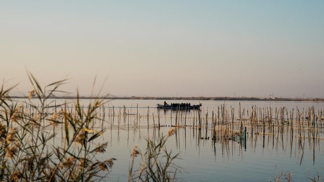 Paseo en barco por la Albufera