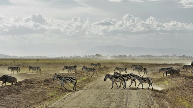 Kenia