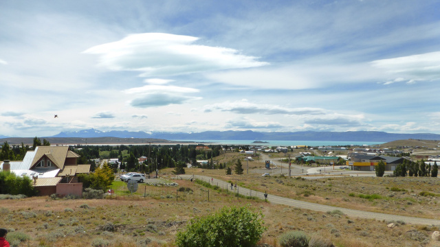 Calafate