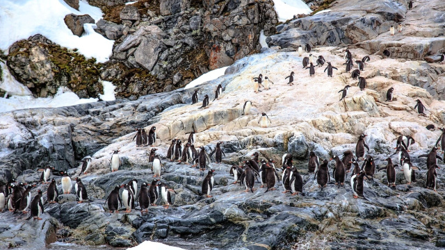 Isla de los Pájaros