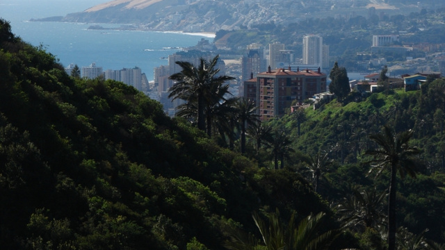 Viña del Mar