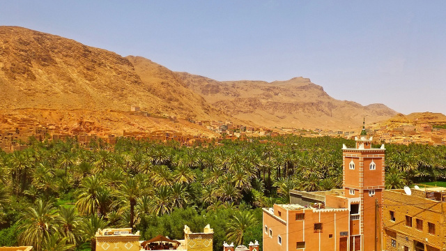 El Palmeral